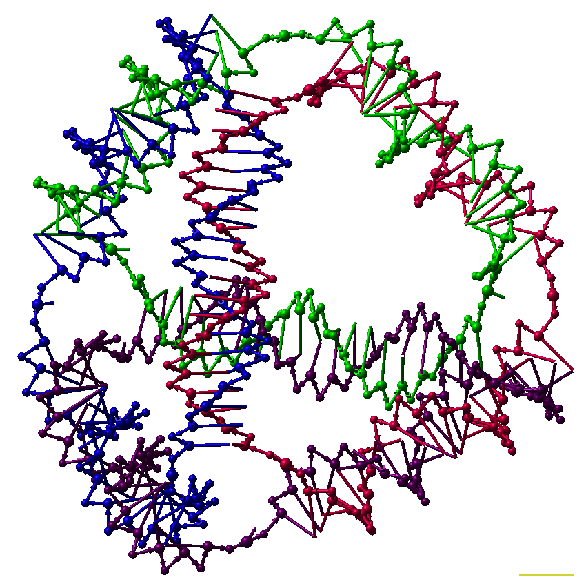 3d molecular model of a double helix dna structure.