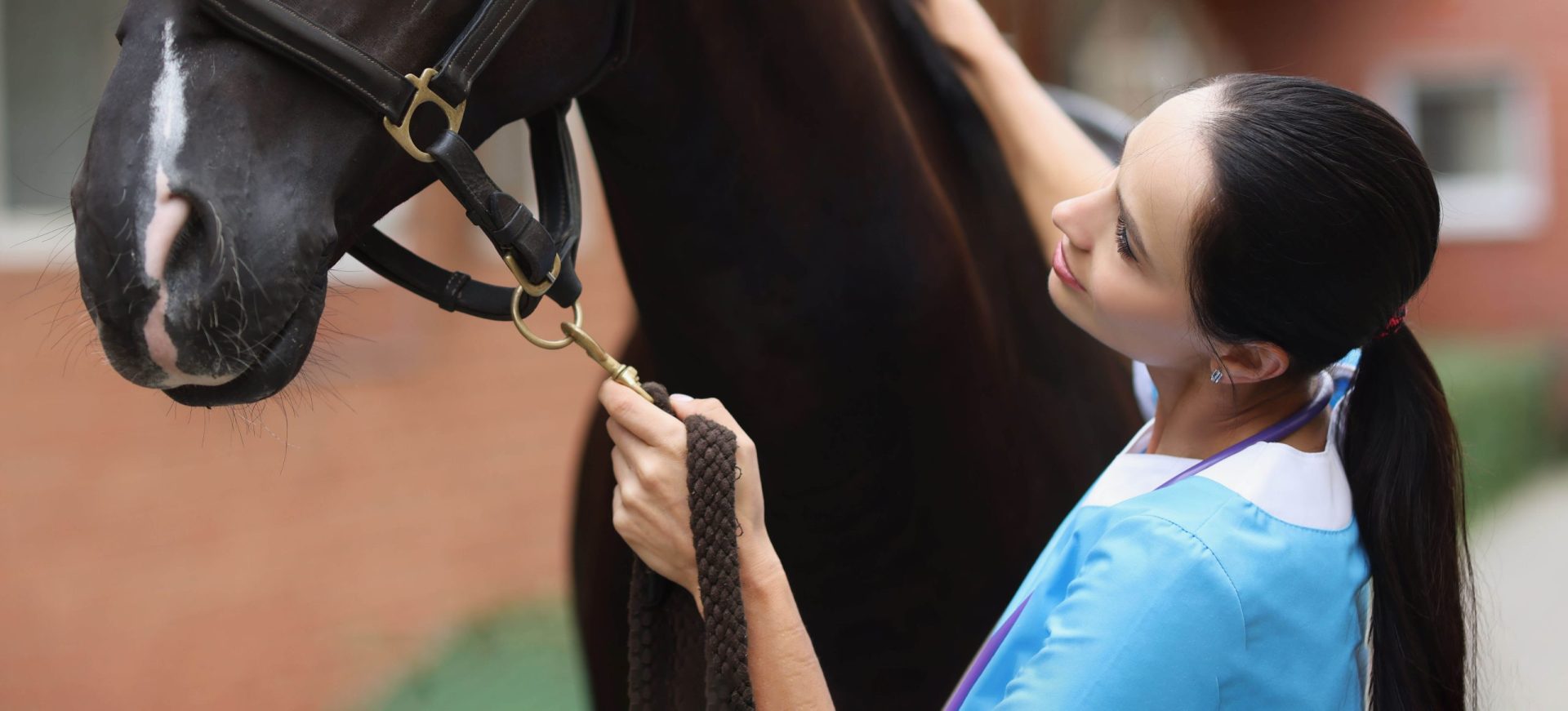 A female veterinarian in a blue shirt petting a brown horse's neck.