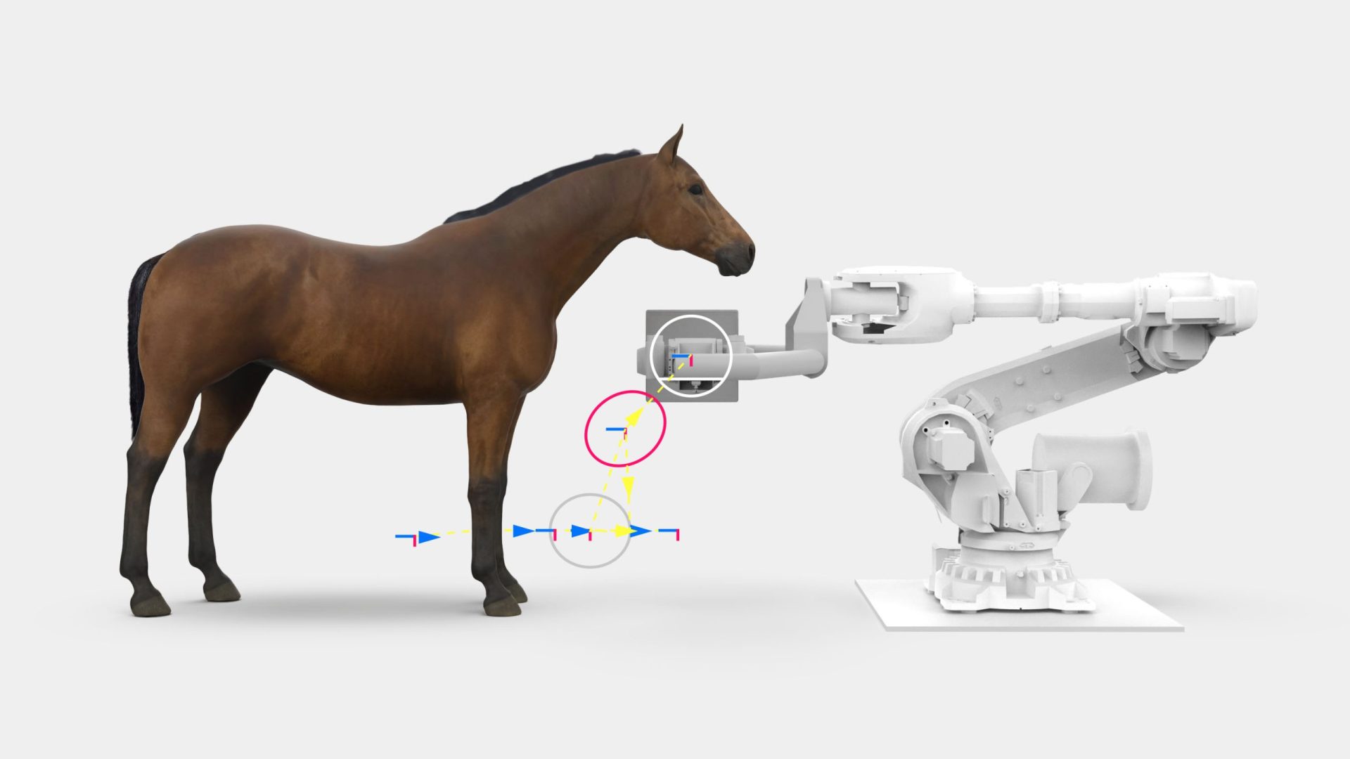A horse standing next to Prisma Imaging's equine scanner mounted to a robotic arm with graphical axis controls indicating motion directions to scan an injured front leg.