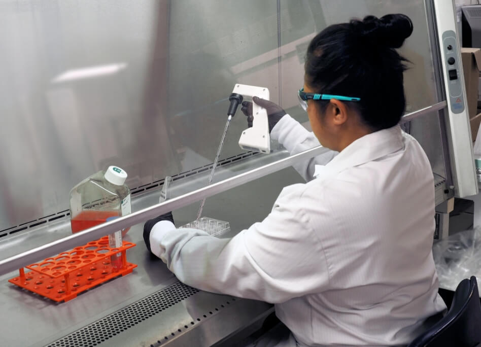 A scientist in a lab coat and safety glasses uses a pipette to transfer liquid into a multi-well plate inside a biosafety cabinet.