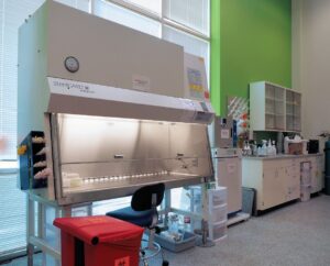A laboratory workspace with a biosafety cabinet, chair, red biohazard waste bin, shelves with lab supplies, and equipment against green and white walls.
