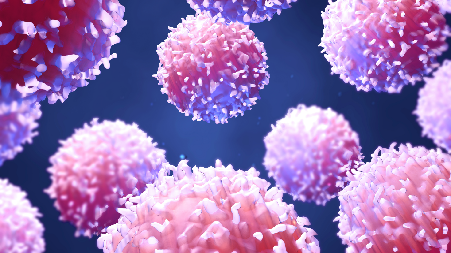 3D illustration showing clusters of pink and purple spherical cells with textured surfaces floating against a dark blue background.